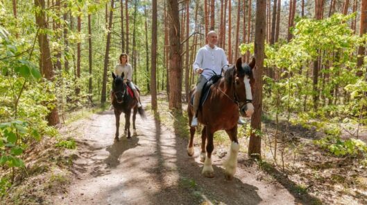 Конный клуб